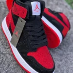 Jordan-R1-Brillante